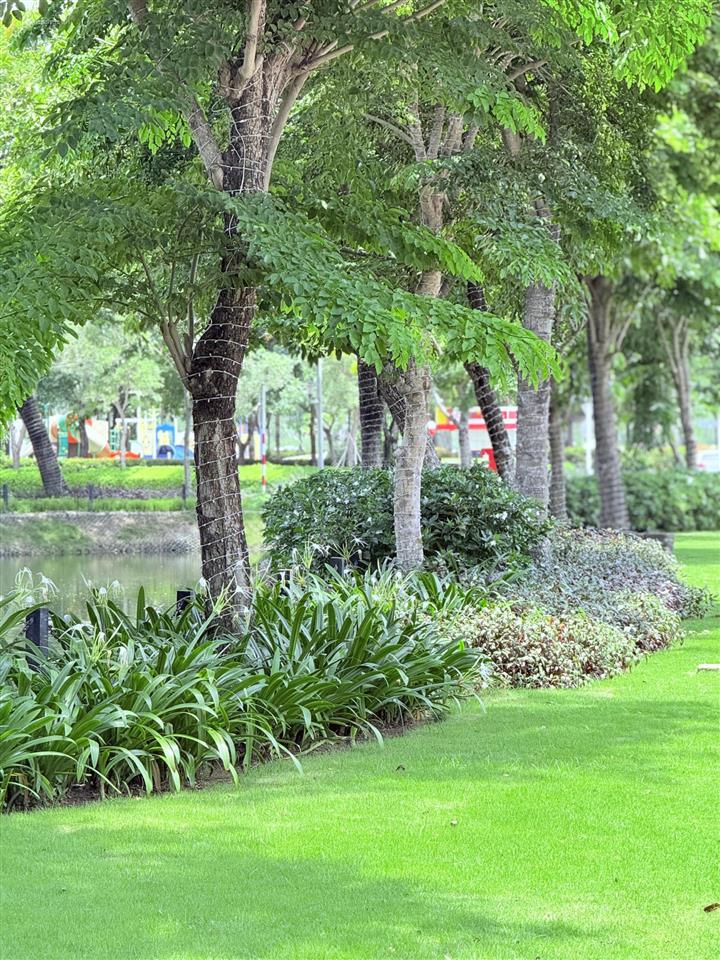 Cho thuê căn hộ 2pn, căn góc, skyvilla ở swanbay
