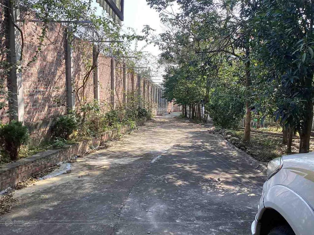 Chủ nhà bán biệt thự đường nguyễn văn cừ, phường xuân hòa, tỉnh phú thọ, đất 38tr/m2