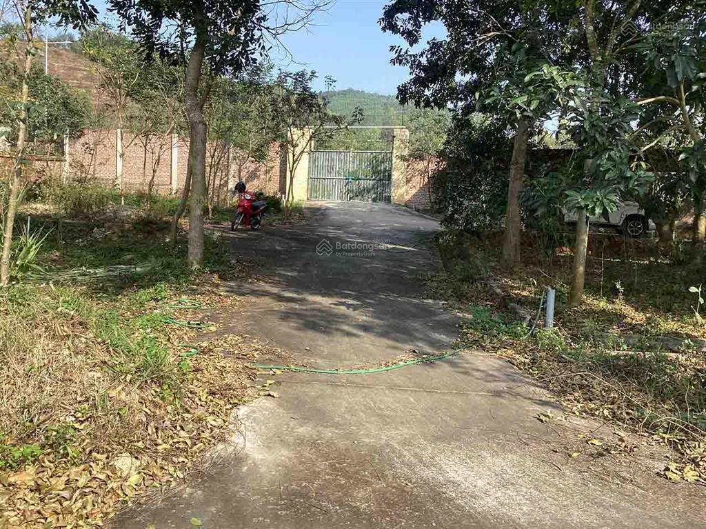 Chủ nhà bán biệt thự đường nguyễn văn cừ, phường xuân hòa, tỉnh phú thọ, đất 38tr/m2