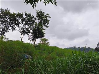 Lô đất nghỉ dưỡng hiếm có view cánh đồng view núi 1847m2, 200m2 đất ở tại minh quang ba vì