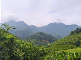 Bán lô đất nghỉ dưỡng/ phân lô view cực đẹp 3500m, 500m đất ở, khánh thượng ba vì, 1,5tr/m2