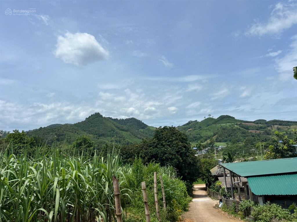 Bán 1077m250m đất ở có 2 mặt tiền, thế đất cao thoáng cao phongphú thọ (hoà bình cũ)880 triệu