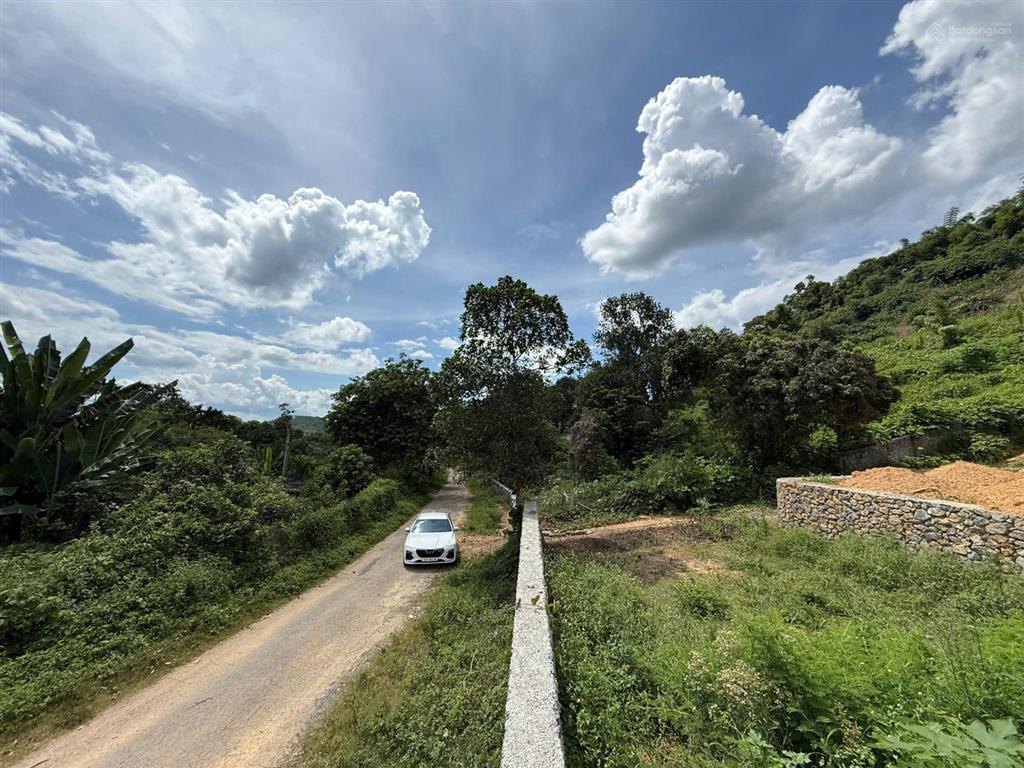 Bán 1386m2 bám trục đường nhựa phù hợp đầu tư, homestay, nhà xưởng tân vinh lương sơn, chỉ 3,2tr/m2