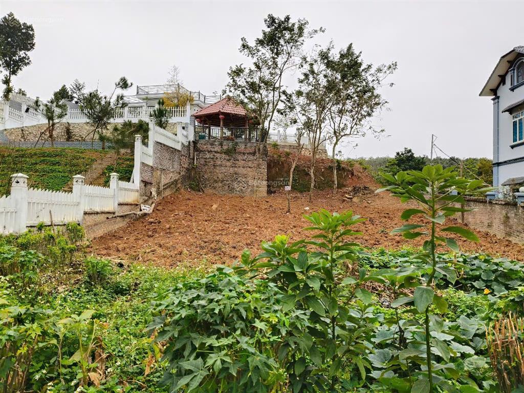Bán 590,5m2, có 500m2 đất ở bám đường bê tông 2 ôto tránh, minh quang ba vì, nhỉnh 1 tỷ
