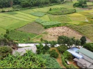 Bán 1100m2 có 200m2 đất ở bám đường bê tông liên xã, cao phong hoà bình cũ, 1,3 tỷ, 0886 494 ***