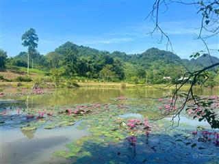 Sót lại mảnh đất bám hồ súng, xã phú vinh tân lạc hoà bình, 1752m 400m đất ở, nhỉnh 1tỷ, 0886 494 ***