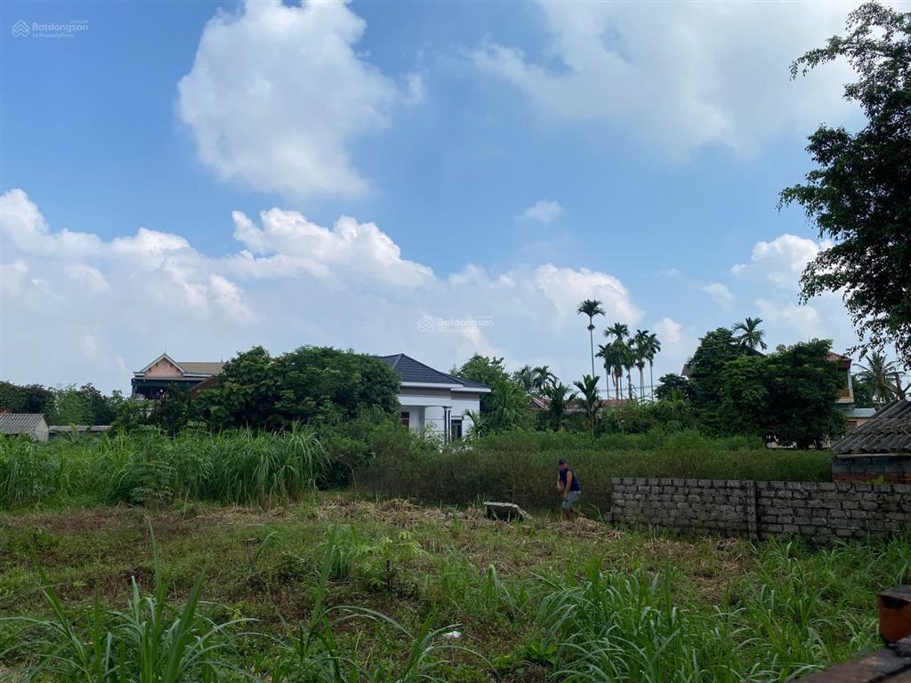 Bán lô đất tại tản lĩnh, ba vì, 784m2 có 150m2 đất ở mặt tiền 24m, 4,9 tỷ