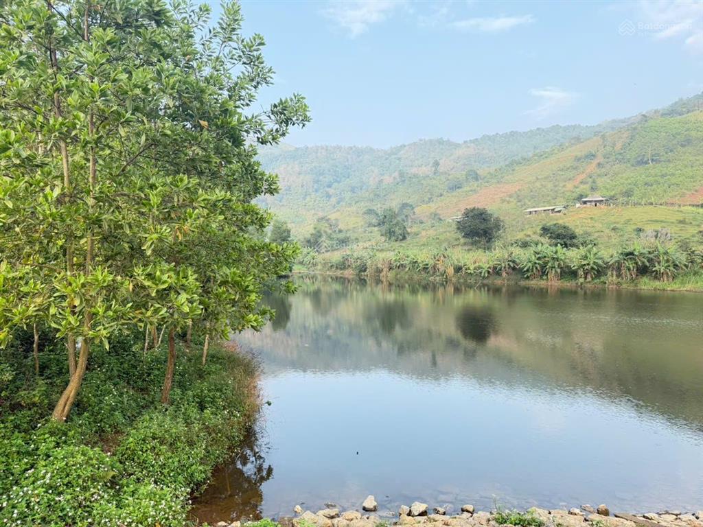 Cần bán 1780m2 có 400m đất ở view hồ cạnh homestay hợp phong cao phong hoà bình (cũ), nhỉnh 1tỷ