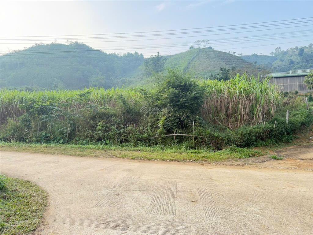 Cần bán 1780m2 có 400m đất ở view hồ cạnh homestay hợp phong cao phong hoà bình (cũ), nhỉnh 1tỷ