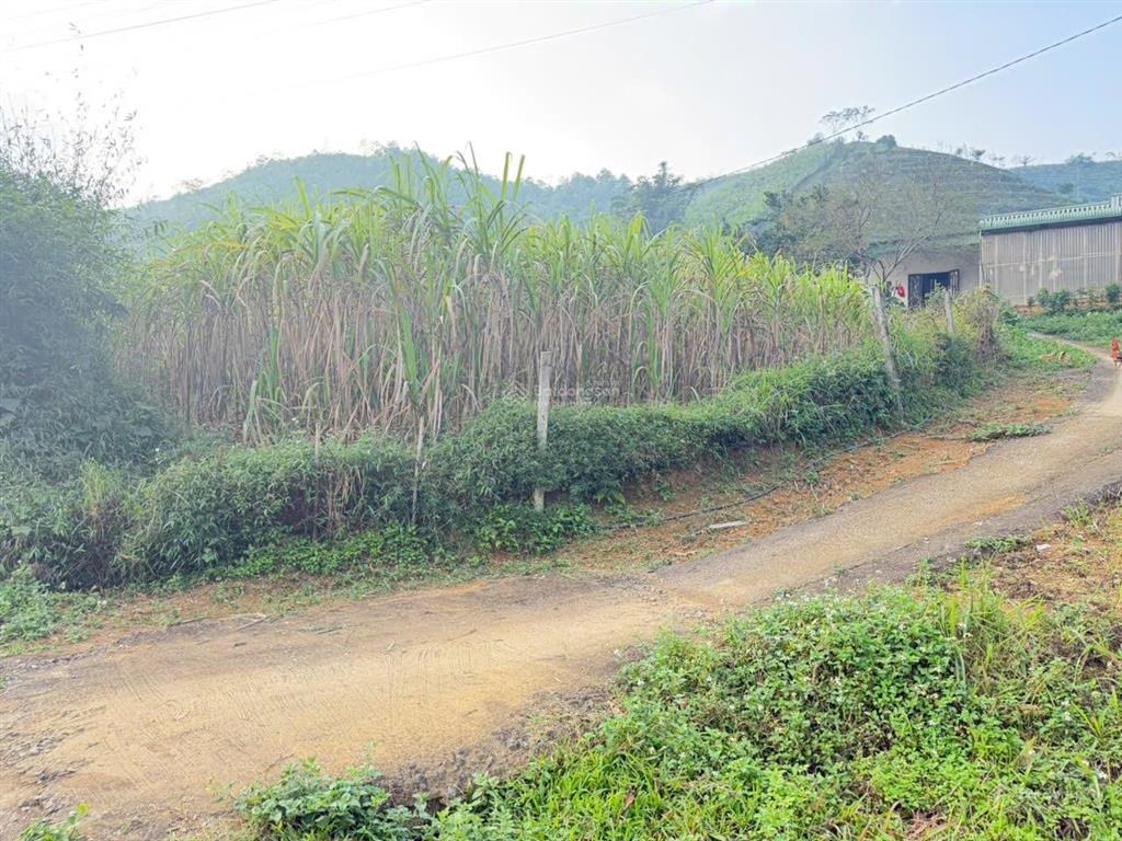 Cần bán 1780m2 có 400m đất ở view hồ cạnh homestay hợp phong cao phong hoà bình (cũ), nhỉnh 1tỷ