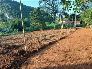 Bán đất nền tại đường hồ chí minh, thạch quảng, thạch thành, thanh hóa, 185 triệu, 105m2