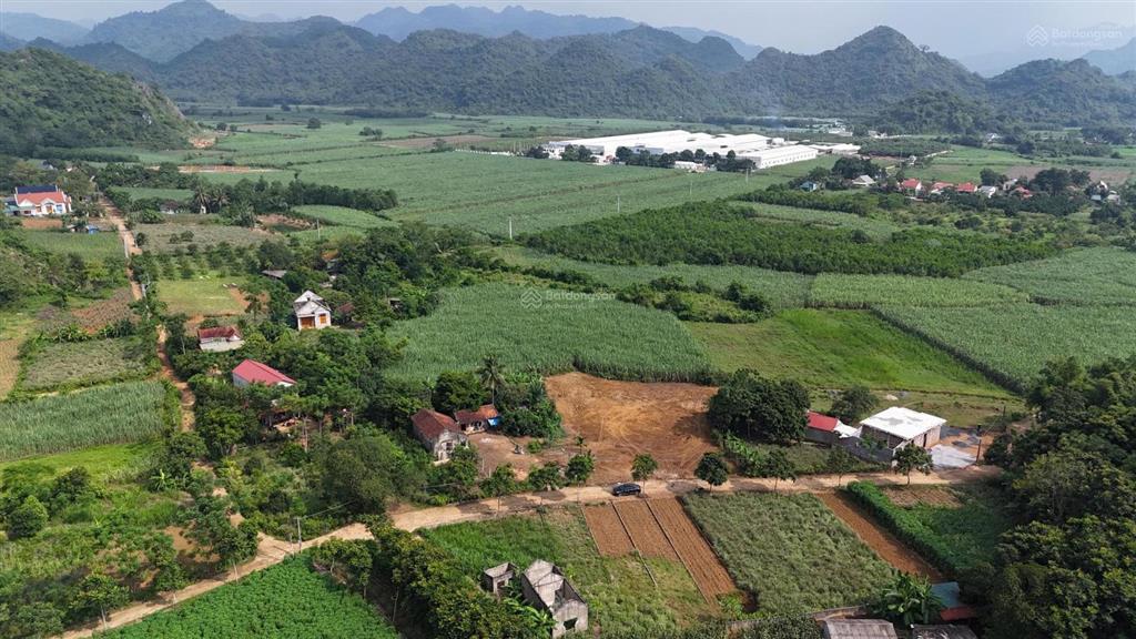 Bán đất thạch quảng, 240 triệu, 147 m2, giá siêu hời, uy tín, thanh hóa