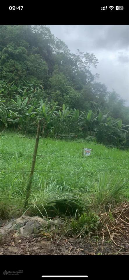 Bán đất thạch quảng, 240 triệu, 147 m2, giá siêu hời, uy tín, thanh hóa