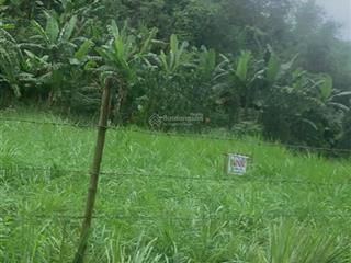 Bán đất thạch quảng, 240 triệu, 147 m2, giá siêu hời, uy tín, thanh hóa