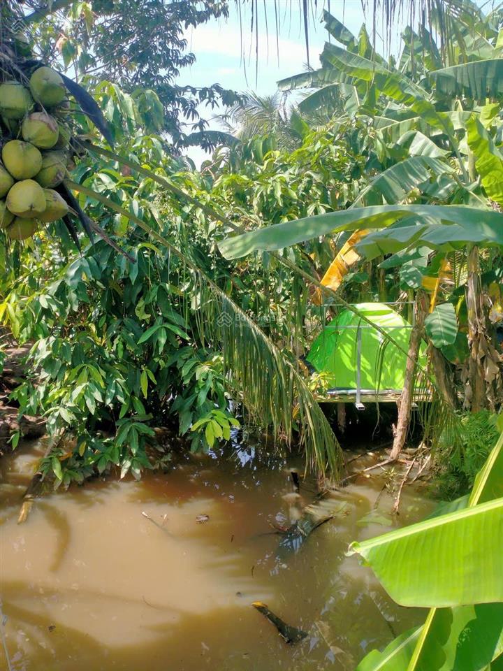 Chính chủ cho thuê nhà vườn 6300m 5pn 5wc 1 khu reshote củ chi cầu phú cường 9,3tr  0901 970 ***