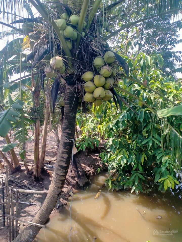 Chính chủ cho thuê nhà vườn 6300m 5pn 5wc 1 khu reshote củ chi cầu phú cường 9,3tr  0901 970 ***