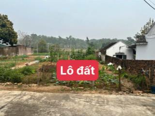 Bán đất tại xã hướng đạo, tam dương, vĩnh phúc, 1tỷ390tr, 208m2 full thổ cư