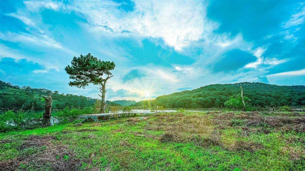 Nhanh tay sở hữu lô đất mặt tiền hồ dankia panorama tuyệt đẹp, tựa hồ tuyền lâm, giá cực tốt