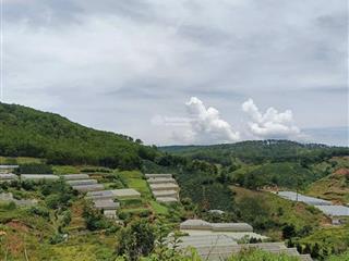 Chính chủ bán đất măng lin, phường 7, đà lạt siêu hot, view đồi thông thơ mộng