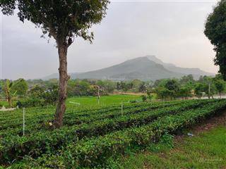 5,9 tỷ sở hữu siêu phẩm 1800m2 mặt tiền 25 mét, view đẹp như một bức tranh, đất phẳng như sân bóng