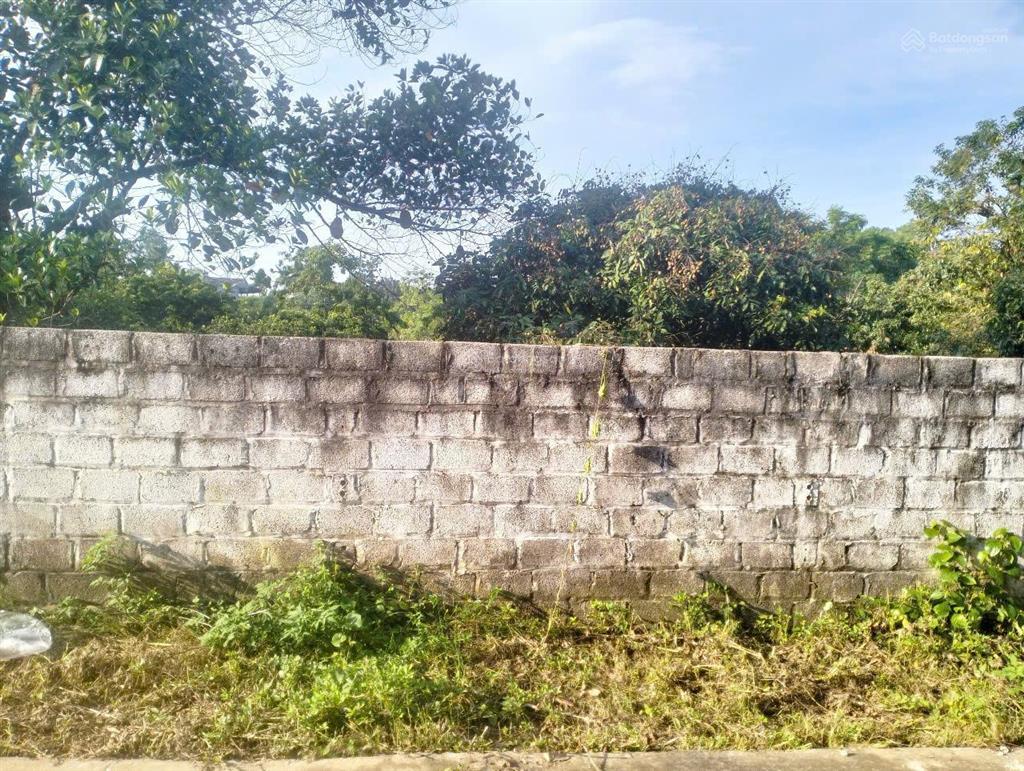 3 tỷ sở hữu ngay 547m2 có 300m2 đất ở, mặt tiền 15 mét, gần du lịch hồ suối hai, đường 2 ô tô tránh