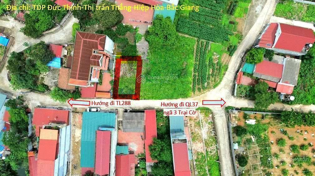 Đất tt phố thắng, khu vực phát triển nhất hiệp hòa bắc ninh, 85m2 full thổ mặt ngõ chính ôtô tránh