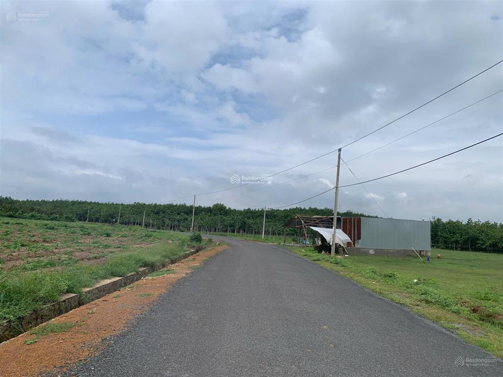 Cơ hội hiếm chỉ hơn 15 tỷ sở hữu 80.000m2 đất cao su đồng nai, đón đầu đô thị biên giới tương lai