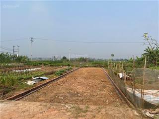 Bán đất đấu giá 125m2 sát bên kcn trung hà 2(160ha)