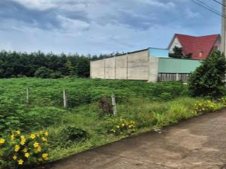 Đất tp.hcm  bán đất 2 mặt tiền phước thành  tp.hcm  gía tốt  chính chủ