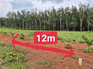 Đất sào tân hiệp 1200m2 630tr bao sổ  cách thpt nguyễn huệ 800m  cách dh508 500m đầy đủ tiện ích