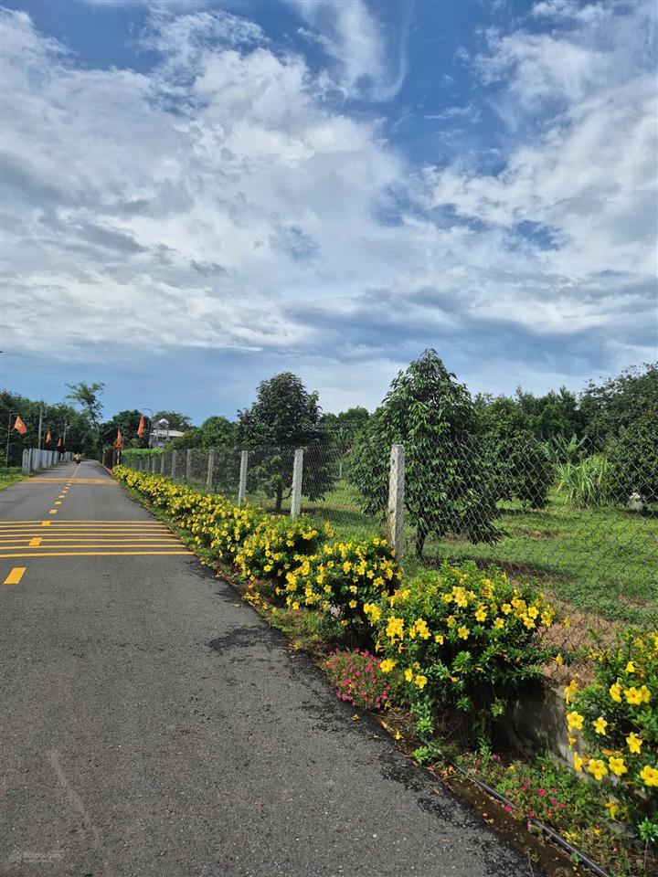 Đất tphcm mặt nhựa mới trải 250m2 + 100m2 ont giá 490tr cách dh507 đúng 100m ngay ubnd xã an linh