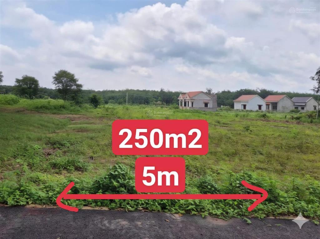 Đất tphcm mặt nhựa mới trải 250m2 + 100m2 ont giá 490tr cách dh507 đúng 100m ngay ubnd xã an linh