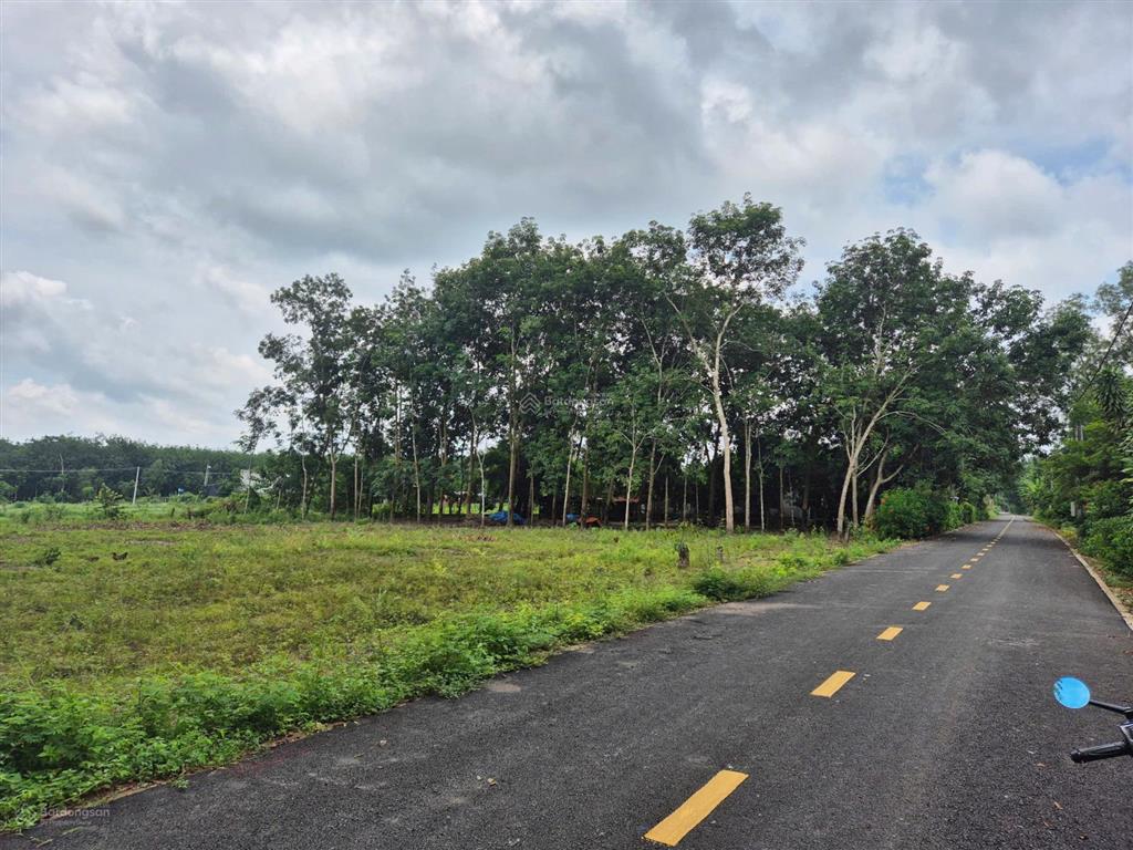 Đất tphcm mặt nhựa mới trải 250m2 + 100m2 ont giá 490tr cách dh507 đúng 100m ngay ubnd xã an linh