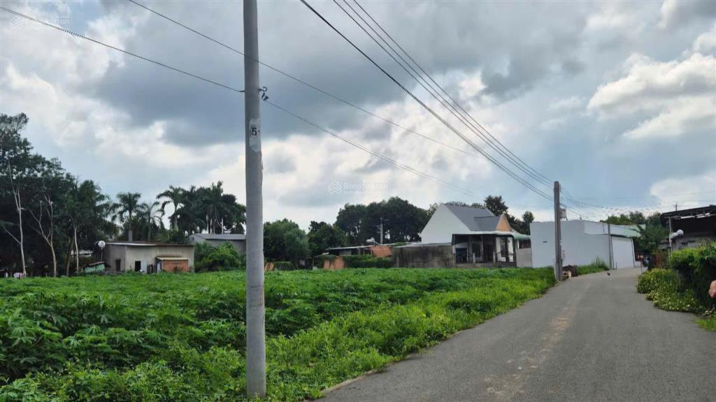 Đất tphcm mặt nhựa mới trải 250m2 + 100m2 ont giá 490tr cách dh507 đúng 100m ngay ubnd xã an linh