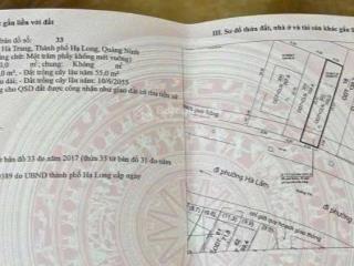 Chính chủ gửi bán ô đất mặt chính đường hà trung  kinh doanh tốt.  diện tích  100m . mặt