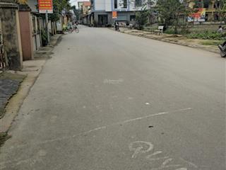 Cho thuê 100m2 đất mặt đường apphan 6m trục chính thôn tại trí quả, thuận thành, bắc ninh