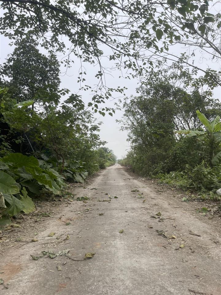 Bán mảnh đất vườn 50 năm, 450m2, 2 mặt đường 4m, giá giật mình 1,8 triệu/m2