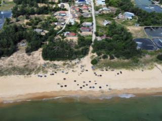 Bán đất nam hội an  xã thăng trường  đà nẵng cách biển 100m