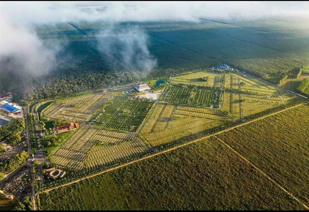 Em bán lô đất mộ gia tộc m7 128m2 đông nam siêu vip, trong hoa viên cao cấp sala garden