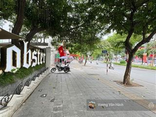 Chính chủ bán mặt phố nguyễn khánh toàn  lô góc 3 thoáng  vỉa hè siêu rộng  kinh doanh vip