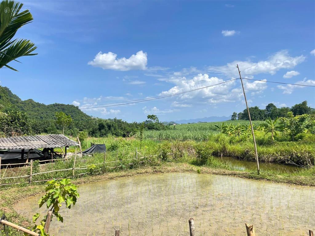 Bán đất tại xã mỹ hoà, tân lạc, hòa bình, giá siêu hời 332 nghìn/m2, 2700 m2
