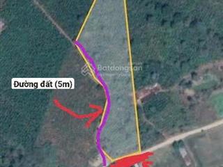 Bán đất đẹp tại xã ninh gia, đức trọng, lâm đồng, 8 tỷ vnd, 10.000 m2