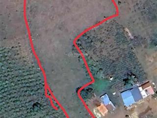 Bán trang trại lộc bắc, bảo lâm, lâm đồng dt 3928m2 có 35m mặt đường bê tông  0372 818 ***