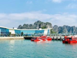 Giật mình với lô đất gần biển cô tô, quảng ninh  giá chỉ hơn 1 triệu/m²  có thổ cư, sổ đỏ sẵn