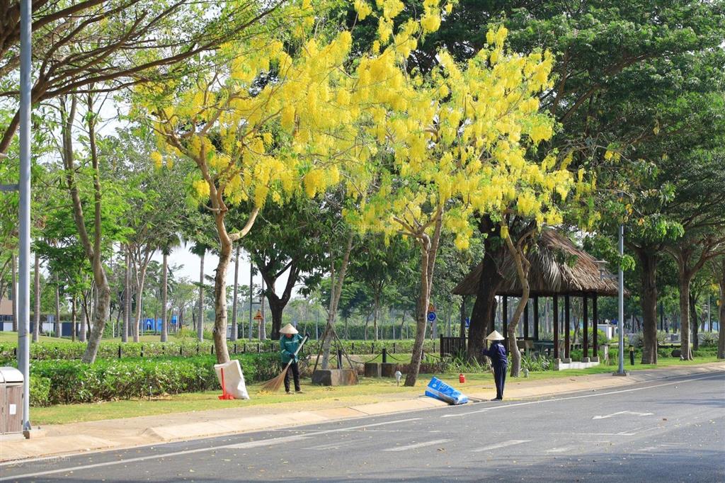 Bảng giá elyse island (5/2026) biệt thự song lập giá từ 17 tỷ, biệt thự đơn lập giá từ 42 tỷ