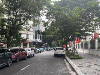 Cho thuê nhà mặt phố dịch vọng hậu, 115m2x6 tầng + tum, 7m, 100 triệu, mọi mô hình kinh doanh