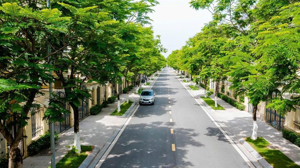 Bán căn liền kề góc có hầm siêu hiếm, diện tích xây dựng lên tới 537m2