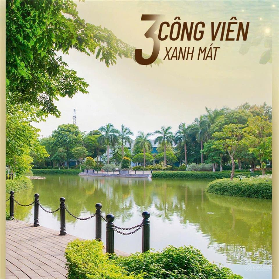 Bán căn liền kề góc có hầm siêu hiếm, diện tích xây dựng lên tới 537m2