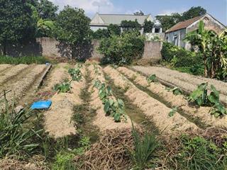 Bán đất fo đào xá trung chính lương tài dt 94m mt 5m ngõ 5m xe 7 chỗ vào gần khu công nghiệp
