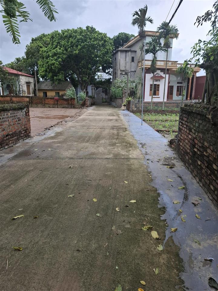 Bán đất nhất trai minh tân lương tài dt 106m2, mt 5m nở hậu đường 5m ô tô vào đất gần chợ trường
